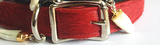 American Cowhide plain dog collar Red/gold capped gator teeth