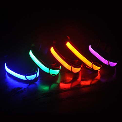 Lumi illuminated Led pet collars Blue, Green, Orange and Pink