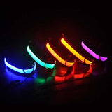 Lumi illuminated Led pet collars Blue, Green, Orange and Pink